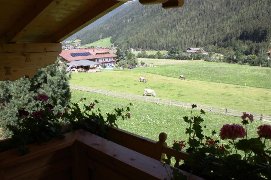 Landhaus Alpensonne Neustift im Stubaital Extérieur photo