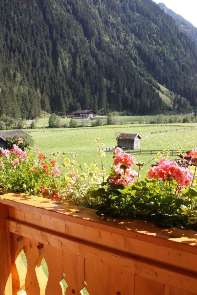 Landhaus Alpensonne Neustift im Stubaital Extérieur photo