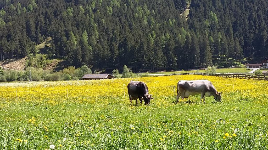 Landhaus Alpensonne Neustift im Stubaital Extérieur photo
