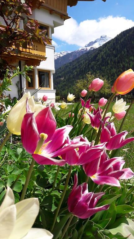 Landhaus Alpensonne Neustift im Stubaital Extérieur photo